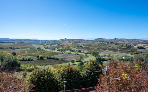 Casa Riggi: Himmel, Horisont, Landskab, Almindeligt, Landdistrikt, Morgen, Mark, Plantation, Prærie, Shrubland