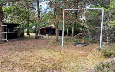 Hals 983: Træ, Græs, Land Lot, Have, Backyard, Woodland, Lawn, Gård, Skygge, Jord