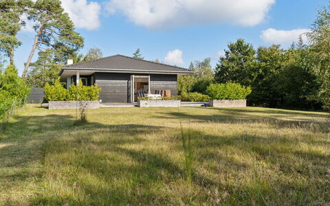 Alvia - 1.6Km from the Sea: Vegetationen, Busk, Forår, Sommerhus, Have, Skygge, Backyard, Gård, Stol