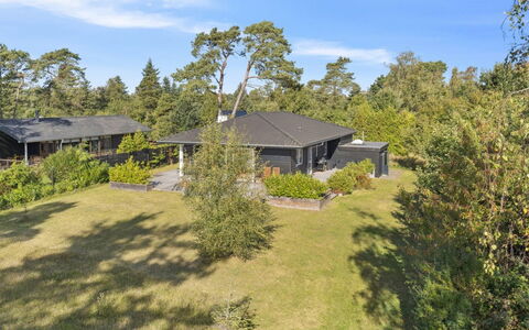 Alvia - 1.6Km from the Sea: Vegetationen, Busk, Forår, Sommerhus, Have, Skygge, Backyard, Gård, Stol