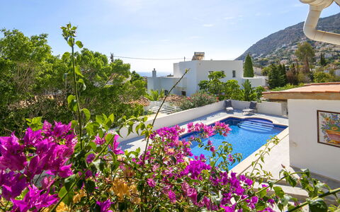 Ker Solea: Svømmepøl, Udvej, Blomsterkrukke, Have, Landscaping, Eco Hotel, Hacienda, Stueplante, Gård