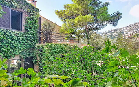 Villa 50: Vegetationen, Busk, Have, Skygge, Evergreen, Hæk