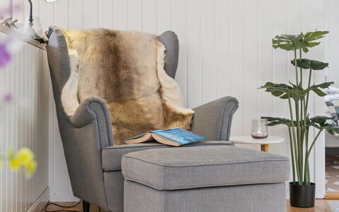 Baarde - 1.2Km from the Sea: Møbel, Stol, Vinter, Sne, Fryser, Trægulve, Naturmateriale, Club Chair, Stue