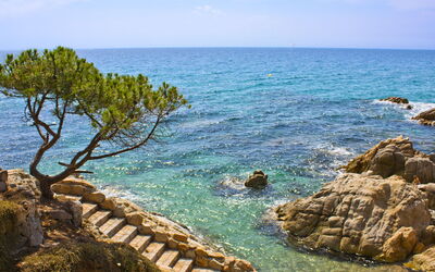 Neptuno