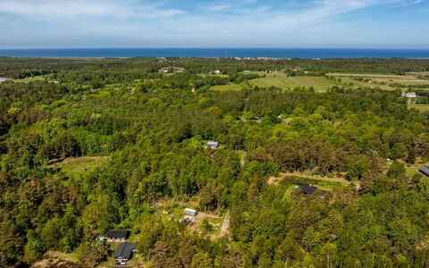 Alika - 300M from the Sea: Vegetationen, Fugleperspektiv, Landskab, Økoregion, Luftfotografering, Land Lot, Almindeligt, Skov, Plantation, Chaparral
