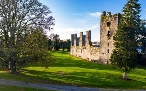 Castlemartyr Lodges (Tr4) No 1 (3 Bed): Græs, Grøn, Landskab, Græs-, Lawn, Almindeligt, Slot, Eng, Have