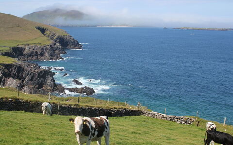 Dingle Cy (Tr4) - 3 Bed No 2: Blå, Vand, Krop Af Vand, Kyst, Coastal Og Oceaniske Landskabsformer, Naturlige Landskab, Bakke, Hav, Highland, Headland