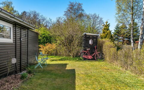 Kamilla - from the Sea: Busk, Have, Garden Bygninger, Skur, Gård, Lawn, Sidespor, Backyard, Landscaping