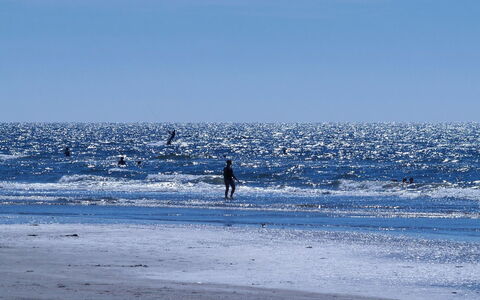 Alvina - 3.2Km from the Sea: Vand, Bølge, Strand, Hav, Vind Wave, Ocean, Kyst, Coastal Og Oceaniske Landskabsformer, Kyst