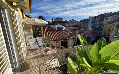 Casa Capolino: Kvarter, Hjem, Lejlighed, Altan, Blomsterkrukke, Stueplante