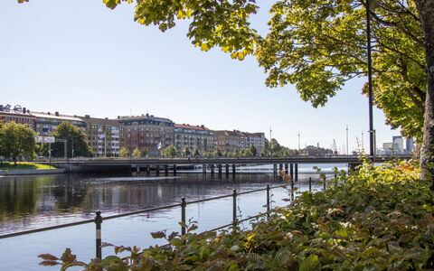 Frösakull Paradiset: Vand, Daytime, Krop Af Vand, Træ, Natur, Bygning, Vandvej, City, Bro, Vandløb