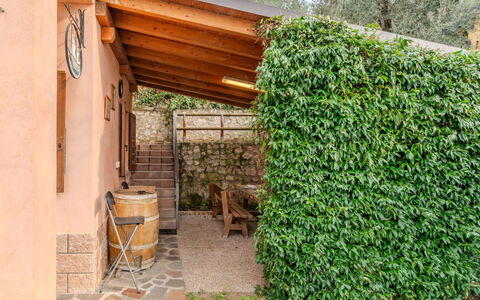 Graziella: Busk, Have, Skygge, Hæk, Landscaping, Backyard, Hegn, Home Fencing