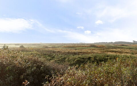 Thomine - 2.5Km from the Sea: Himmel, Græs, Naturligt Miljø, Græs-, Vegetationen, Sky, Økoregion, Naturlige Landskab, Horisont, Almindeligt