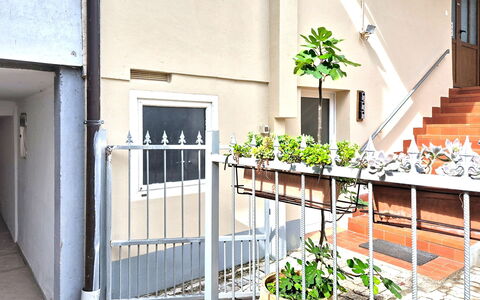 Umag 800: Etage, Loft, Svømmepøl, Udvej, Design, Stol, Dagslys, Hotel, Villa, Penthouselejlighed