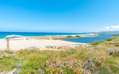 Granello di Sole: Blå, Vand, Krop Af Vand, Kyst, Strand, Coastal Og Oceaniske Landskabsformer, Horisont, Kyst, Hav, Bank