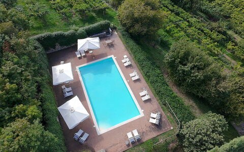 Calicantus, Verona, Pool, Wifi: Svømmepøl, Udvej, Eco Hotel, Udendørs Møbler, Have, Hotel, Landscaping, Villa, Hacienda, Plantation