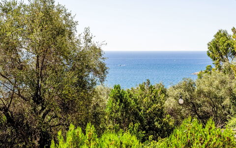 Casa del Mare: Blå, Grøn, Blad, Vegetationen, Plantesamfund, Hav, Ocean, Naturreservat, Sollys, Kyst