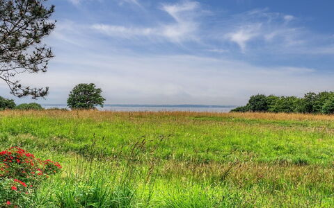 Sigbrit - 100M from the Sea: Himmel, Blå, Grøn, Naturligt Miljø, Græs, Sky, Græs-, Naturlige Landskab, Vegetationen
