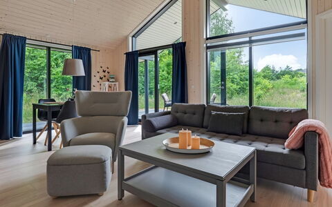Jelisaveta - 45Km from the Sea: Træ, Møbel, Indretning, Couch, Gulvbelægning, Stue, Etage, Stol, Loft