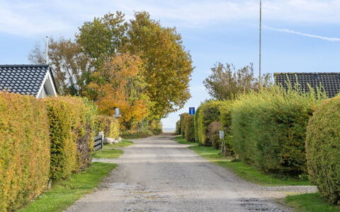 Elle - 175M from the Sea: Græs, Græs-, Landskab, Økoregion, Almindeligt, Plantesamfund, Land Lot, Udendørs Møbler, Prærie, Shrubland