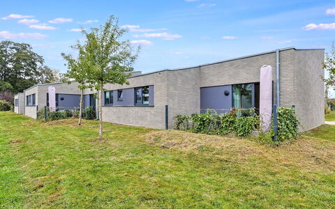 Abendrot: Busk, Hjem, Land Lot, Bunddække, Have, Estate, Lawn, Landscaping, Gård, Backyard