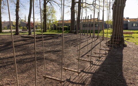 Fiddy: Træ, Offentlige Rum, Bagagerum, Skygge, Vedplante, Parkere, Lawn, Jord, Woodland, Landscaping