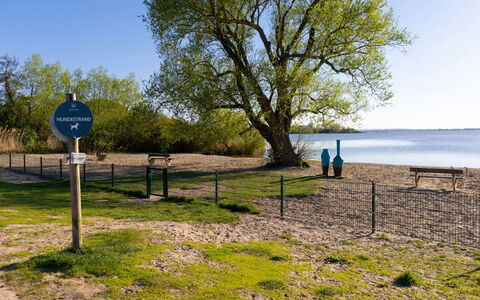 Seeleuchten: Blå, Kyst, Coastal Og Oceaniske Landskabsformer, Almindeligt, Kyst, Morgen, Sollys, Udendørs Bench, Strand, Skygge
