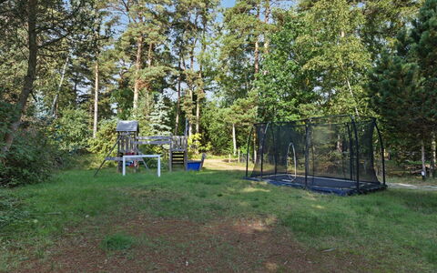 Sheyla - 70M from the Sea: Træ, Have, Land Lot, Skygge, Lawn, Woodland, Backyard, Parkere, Lund, Landscaping