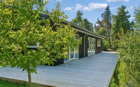 Amitola - 800M from the Sea: Grøn, Busk, Bunddække, Forår, Sommerhus, Have, Skygge, Sidespor, Landscaping, Garden Bygninger
