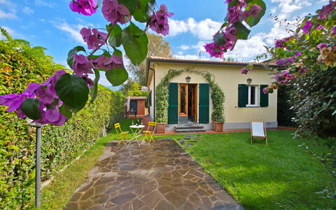 Villetta Tonfano: Busk, Have, Landscaping, Gård, Backyard, Lawn, Skygge, Blomsterkrukke, Hacienda