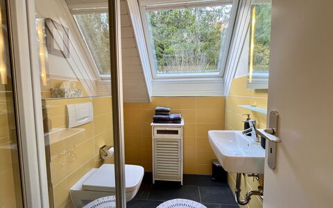 Falkennest - mit Blick auf Den Titisee: Træ, Gulvbelægning, Sanitærarmatur, Etage, Indretning, Vvs, Loft, Badeværelse, Værelse, Toilet
