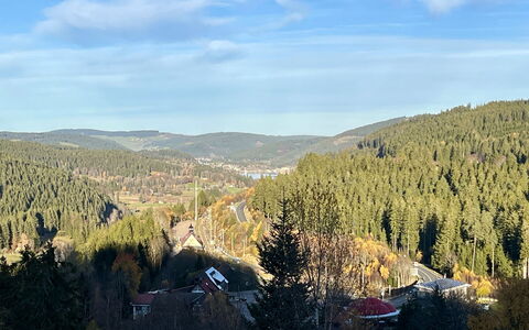 Falkennest - mit Blick auf Den Titisee: Bjergrige Landskabsformer, Bjerg, Træ, Blad, Bakke, Natur, Highland, Skov, Landskab, Hill Station