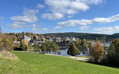 Sonnige Aussichten: Natur, Landskab, Bank, Sø, Reservoir, Eng, Lawn, Loch