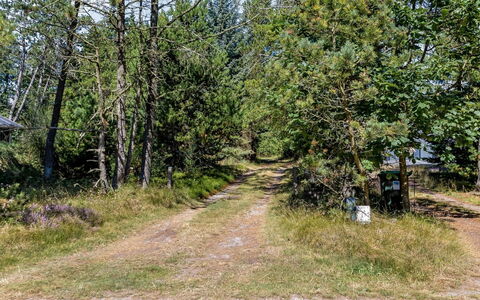 Reinhardt - 800M from the Sea