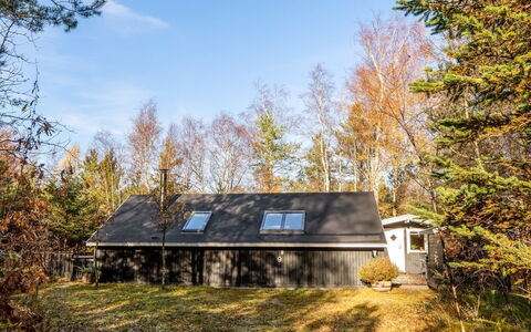Else - 470M from the Sea: Træ, Afdeling, Blad, Græs, Træ, Hjem, Sommerhus, Hus, Tag, Kvist