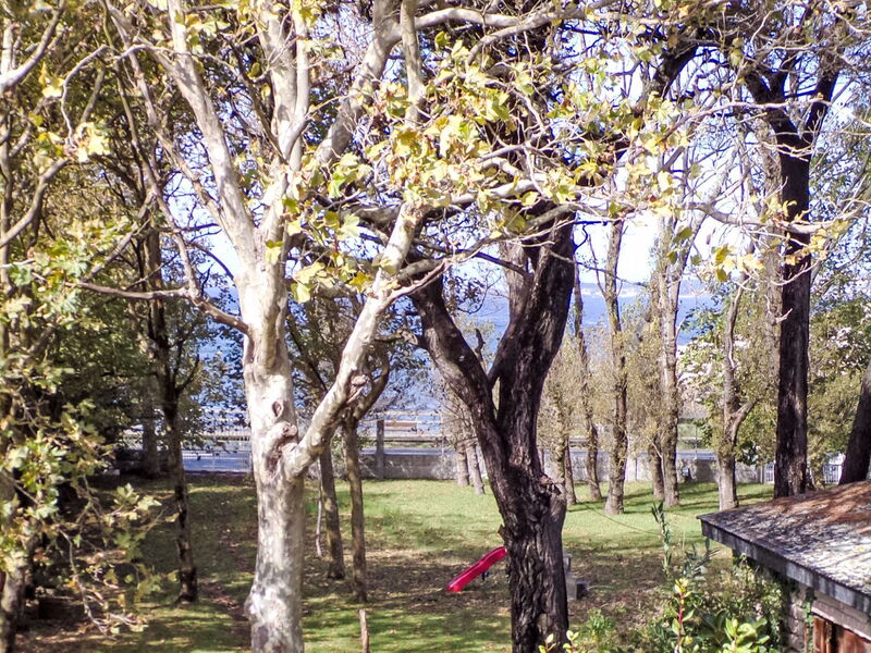 Sanxenxo Rías Baixas 100