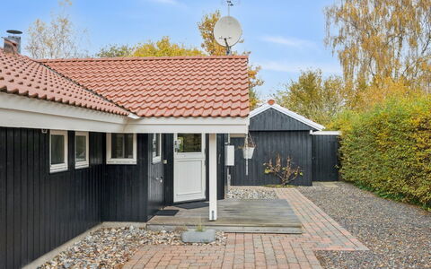 Gyda - 840M from the Sea: Vegetationen, Busk, Forår, Sommerhus, Have, Skygge, Backyard, Gård, Stol