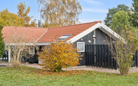 Gyda - 840M from the Sea: Vegetationen, Busk, Forår, Sommerhus, Have, Skygge, Backyard, Gård, Stol