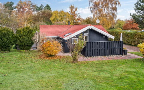 Gyda - 840M from the Sea: Hus, Tag, Busk, Sommerhus, Hjem, Sidespor, Have, Lawn, Garden Bygninger, Backyard