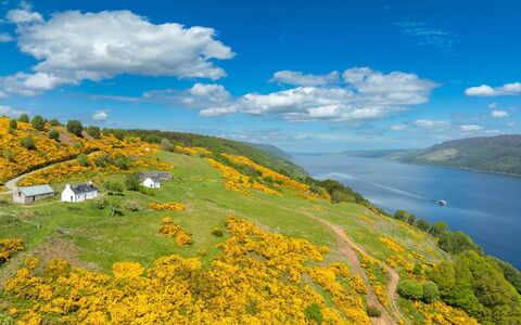 Wester Bunloit: Grøn, Bjergrige Landskabsformer, Gul, Naturlige Landskab, Bakke, Highland, Landskab, Græs-, Sø, Wildflower