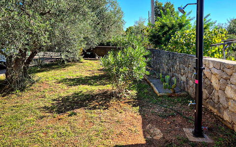Sandra: Have, Landscaping, Backyard, Hegn