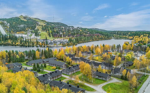 Talvihovi 5: Landskab, Land Lot, Plantation, Pine Family, Evergreen