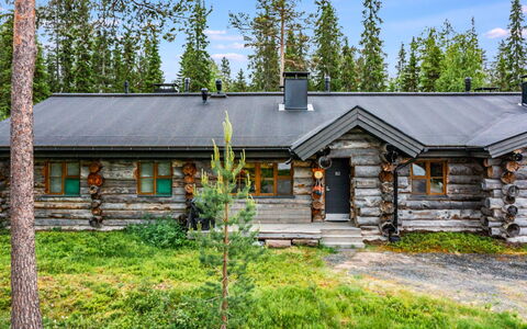 Tunturin Villa Pipo: Sommerhus, Tag, Lærk, Bjælkehytte, Sidespor, Vinter, Evergreen, Fryser