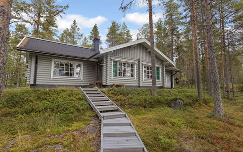 Ahvenmäki B: Sommerhus, Sidespor, Woodland, Lærk, Bjælkehytte, Garden Bygninger, Pine Family