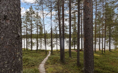 Ahvenmäki B: Blad, Naturlige Landskab, Skov, Ødemark, Lund, Northern Løvskov, Plantesamfund, Woodland, Bagagerum