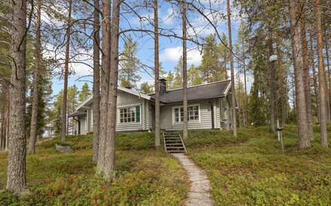 Ahvenmäki B: Sommerhus, Hjem, Woodland, Skov, Lærk, Stuehus, Sidespor, Lund