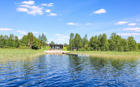 Niittyvilla