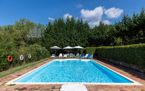 Mulino di Carpineto with Pool Gaiole in Chianti: Svømmepøl, Udvej, Udendørs Møbler, Eco Hotel, Have, Skygge, Liggestol, Landscaping, Thermae, Hacienda