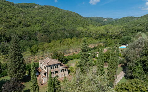 Mulino di Carpineto with Pool Gaiole in Chianti: Naturligt Miljø, Vegetationen, Hjem, Hus, Landskab, Landdistrikt, Busk, Boligområde, Skov, Plantesamfund
