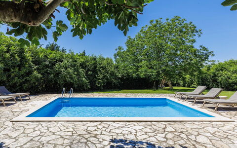 Elli: Blå, Svømmepøl, Udvej, Skygge, Udendørs Møbler, Have, Eco Hotel, Landscaping, Backyard, Villa